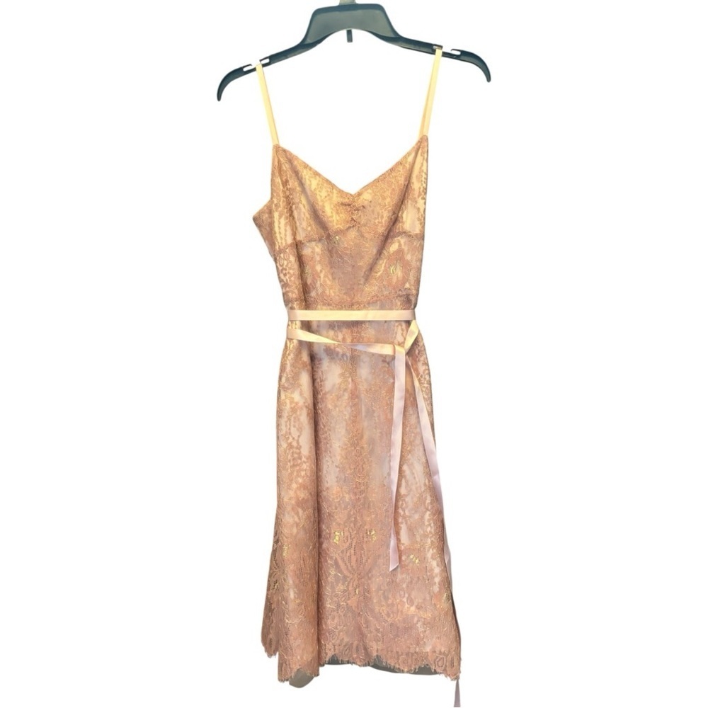 Ann Taylor Pink Lace Dress Size 4 Petite